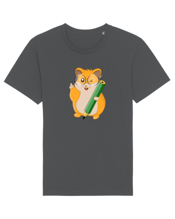 Hamster Destept Anthracite