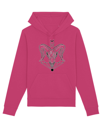 Aries Raspberry