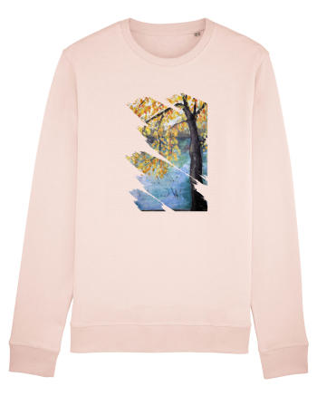 Copac toamna Candy Pink