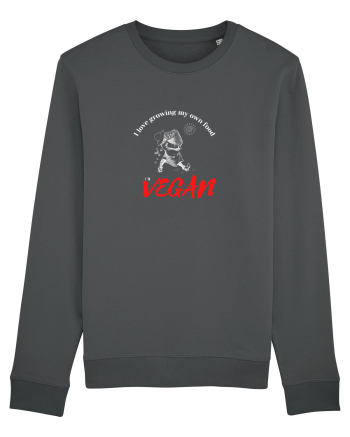 Vegan lifestyle Anthracite