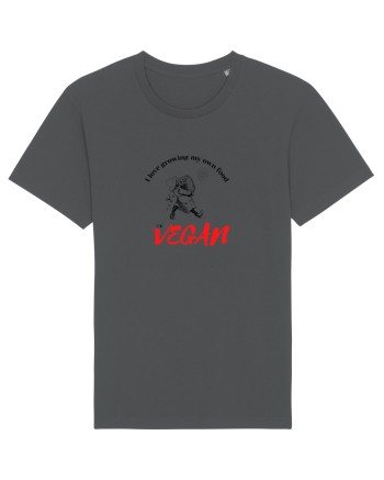 Vegan Anthracite