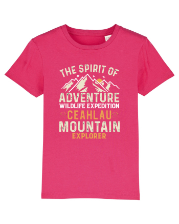 Adventure Ceahlau Mountains Raspberry
