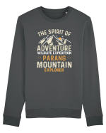Adventure Parang Mountains Bluză mânecă lungă Unisex Rise