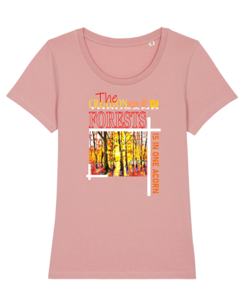 Forest Landscape Canyon Pink