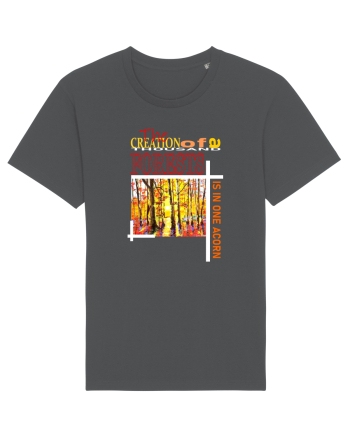 Forest Landscape Anthracite
