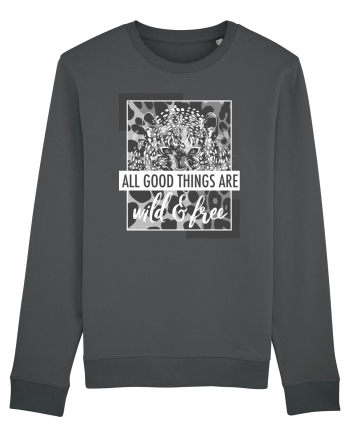 Wild & Free Anthracite