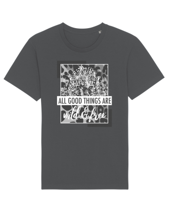 Wild & Free Anthracite