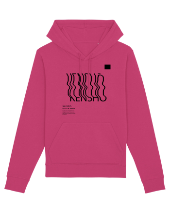 KENSHO -  Zen experience Raspberry