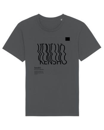 KENSHO -  Zen experience Anthracite