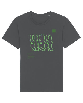KENSHO -  Zen experience Anthracite