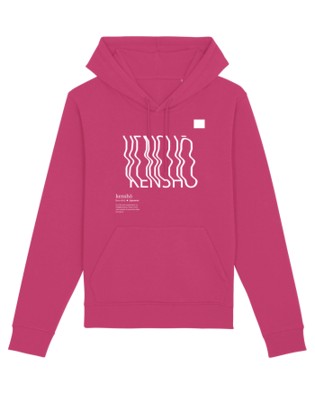 KENSHO -  Zen experience Raspberry