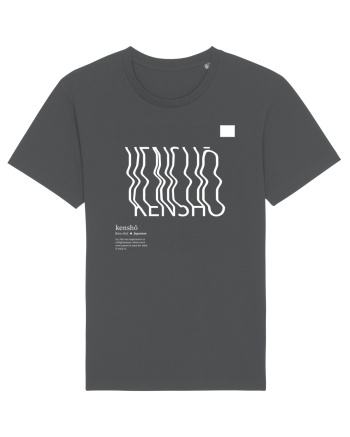 KENSHO -  Zen experience Anthracite