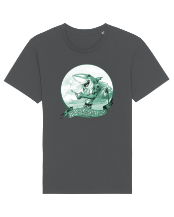BEACH SHARK Monocrom 3 Anthracite