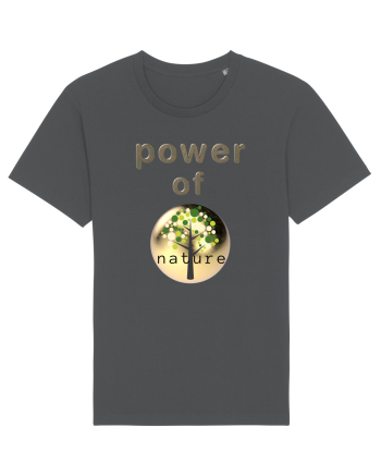 Power of nature Anthracite