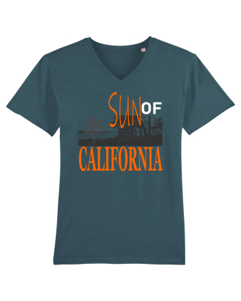 Sun Of California Stargazer