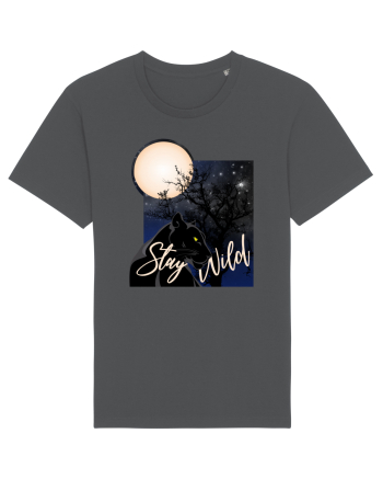 Stay Wild Anthracite
