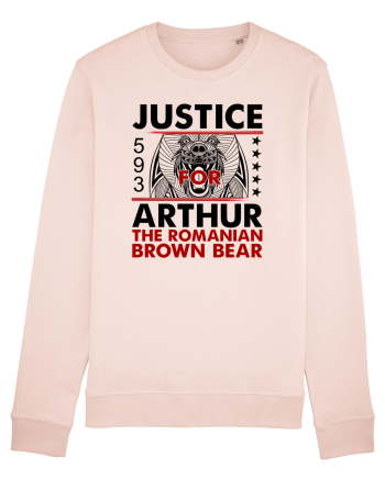 Dreptate pentru Arthur, cel mai mare urs din Romania Candy Pink