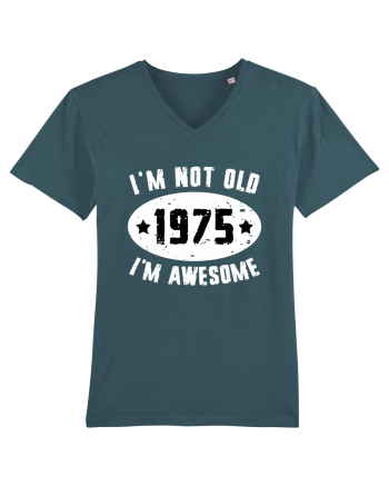 I'm Not Old I'm Awesome 1975 Stargazer