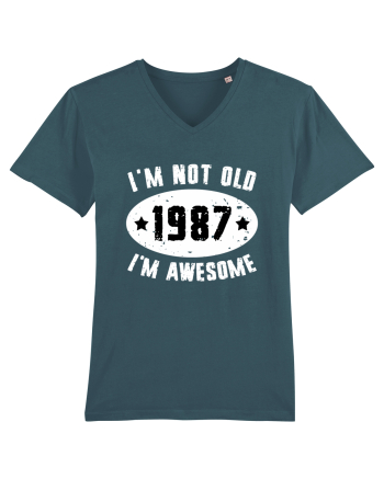 I'm Not Old I'm Awesome 1987 Stargazer