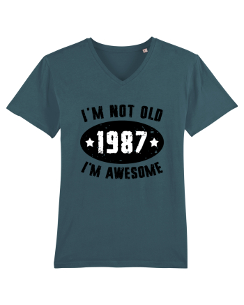 I'm Not Old I'm Awesome 1987 Stargazer