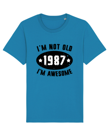 I'm Not Old I'm Awesome 1987 Azur