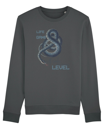 Life is a game Anthracite