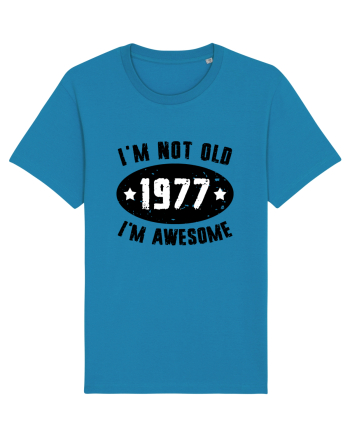 I'm Not Old I'm Awesome 1977 Azur