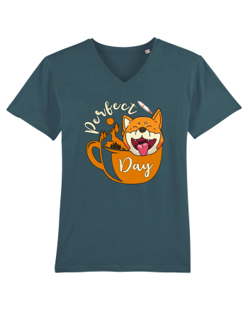 Ziua Perfecta Cafea Drumetie Catelul Shiba Inu Stargazer