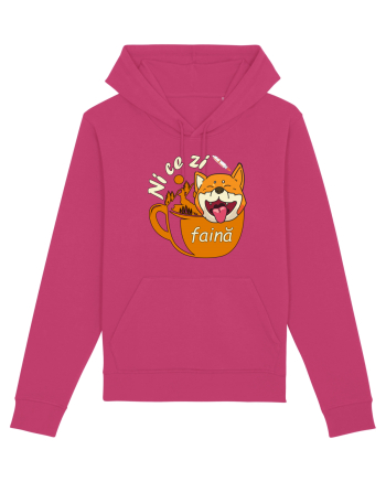 Shiba Inu Caine Cafea Ni Ce Zi Faina Ardelean la Drumetie Raspberry