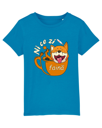 Shiba Inu Caine Cafea Ni Ce Zi Faina Ardelean la Drumetie Azur