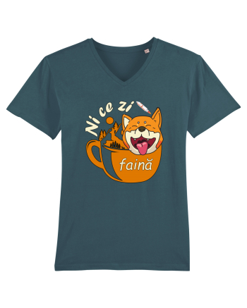 Shiba Inu Caine Cafea Ni Ce Zi Faina Ardelean la Drumetie Stargazer