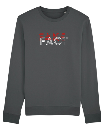 Fake Fact Anthracite