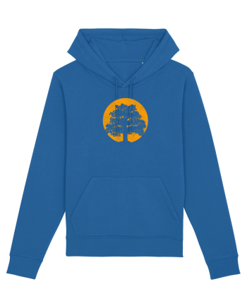Oak  Royal Blue