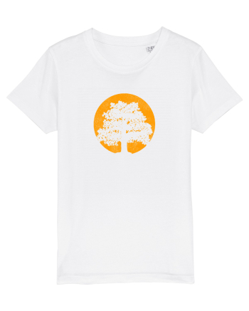 Oak  White