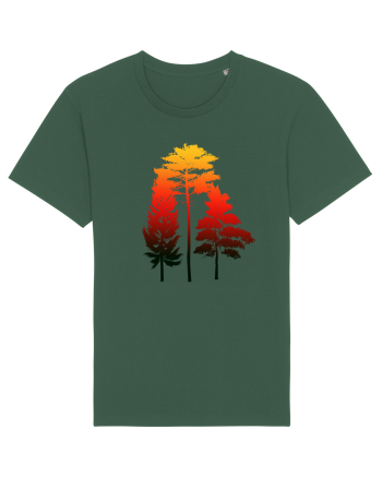 Forest Bottle Green