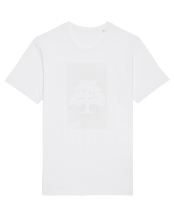 Stejar White