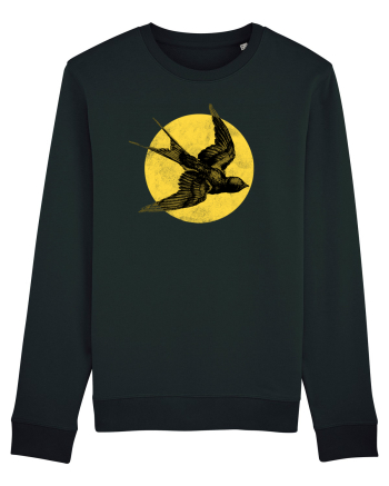 Bird Black