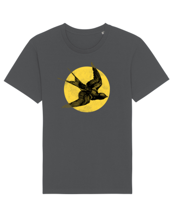 Bird Anthracite