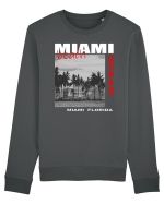 Miami Florida Bluză mânecă lungă Unisex Rise