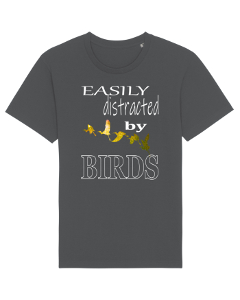 Easily Distracted By Birds Anthracite