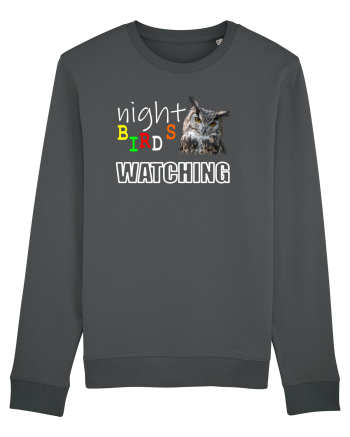 Night Birds Watching Anthracite