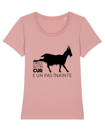 Orice șut în cur e un pas înainte  Canyon Pink