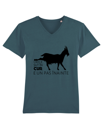 Orice șut în cur e un pas înainte  Stargazer