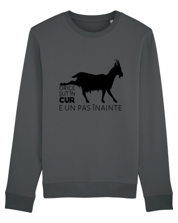 Orice șut în cur e un pas înainte  Anthracite
