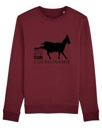 Orice șut în cur e un pas înainte  Burgundy
