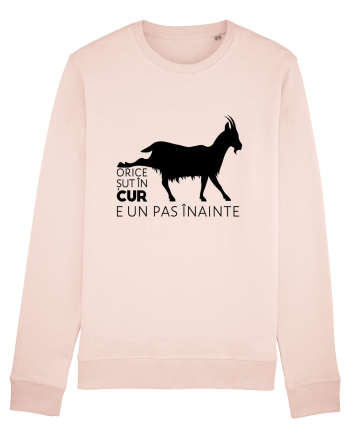 Orice șut în cur e un pas înainte  Candy Pink