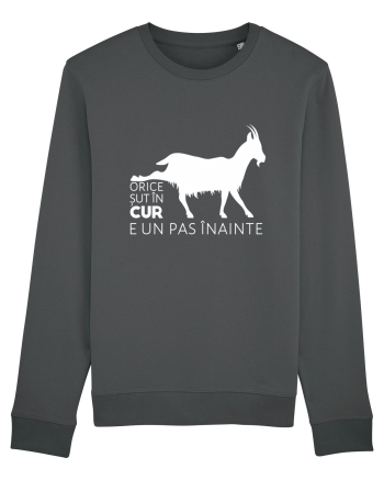 Orice șut în cur e un pas înainte - alb Anthracite