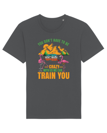 You Don't Have To Be Crazy With Us Anthracite