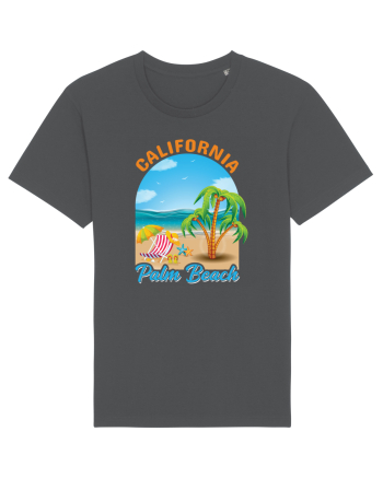 California Palm Beach Anthracite