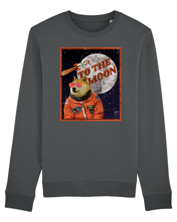 To The moon  Dogecoin Astronaut  Anthracite